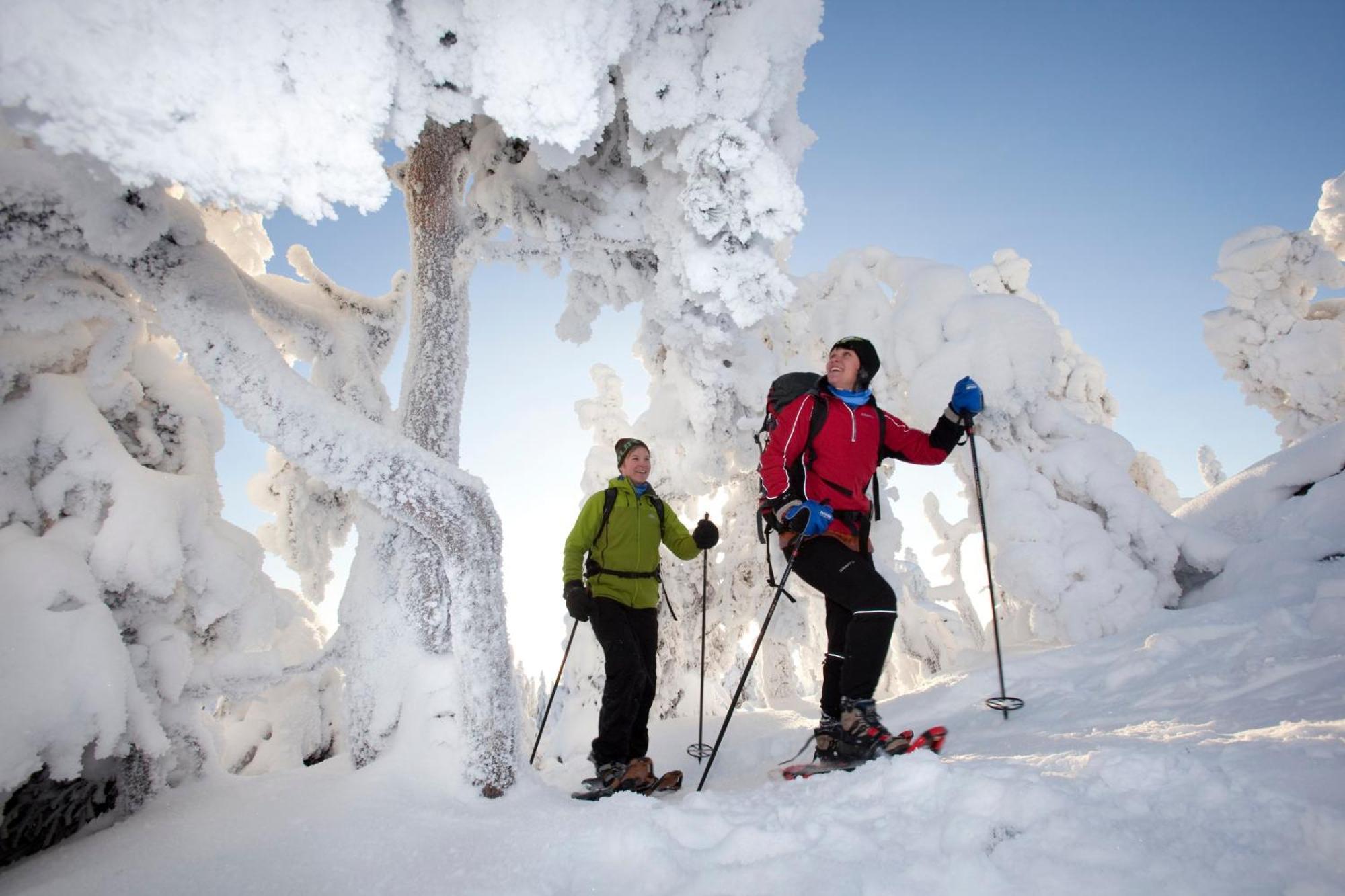 Break Sokos Hotel Koli Kylae Экстерьер фото