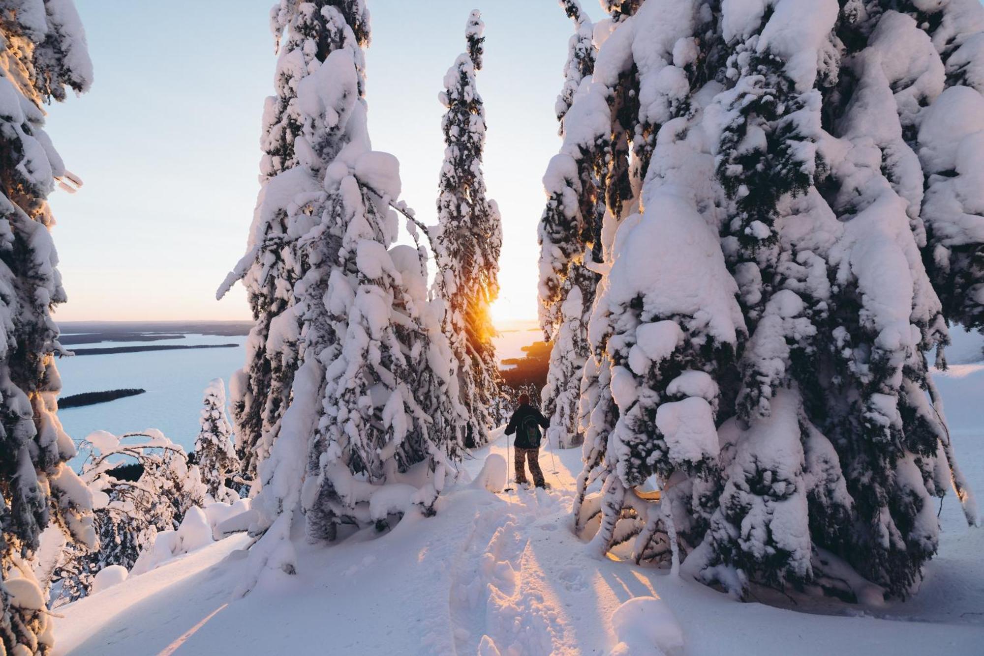 Break Sokos Hotel Koli Kylae Экстерьер фото