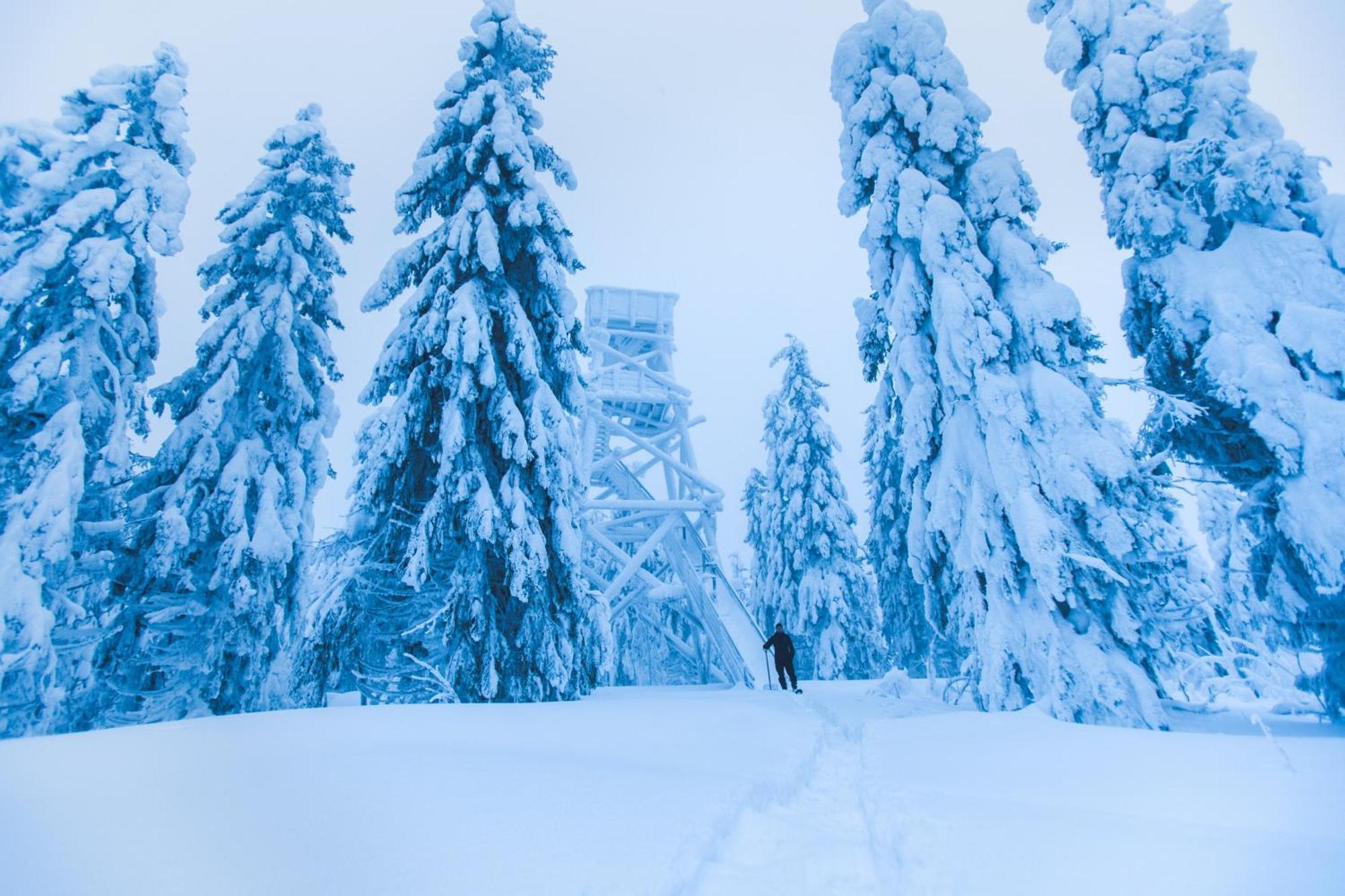 Break Sokos Hotel Koli Kylae Экстерьер фото